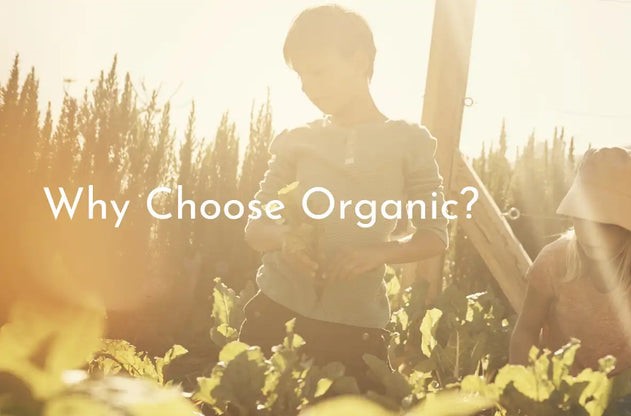 Benefits of Organic food for babies – My Baby Organics Australia